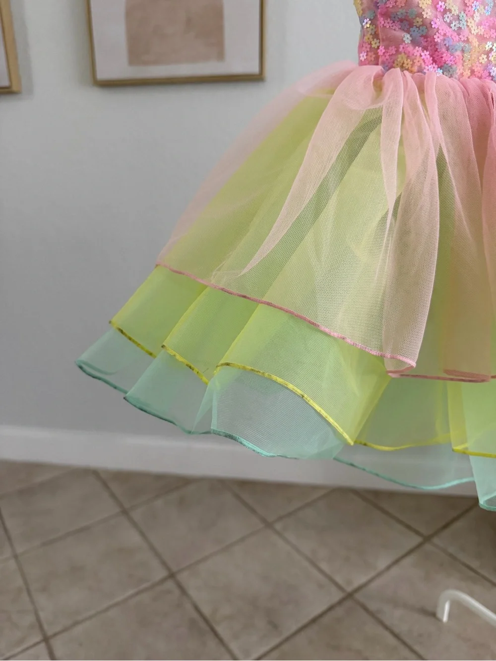 Over in the Meadow Dance Costume